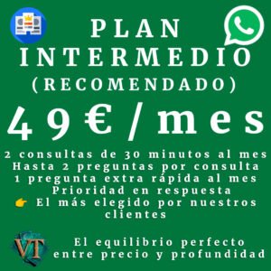 plan básico (copia)